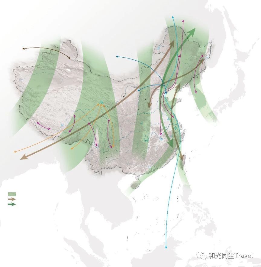 盐城世界第一大湿地,盐城黄海湿地世界遗产