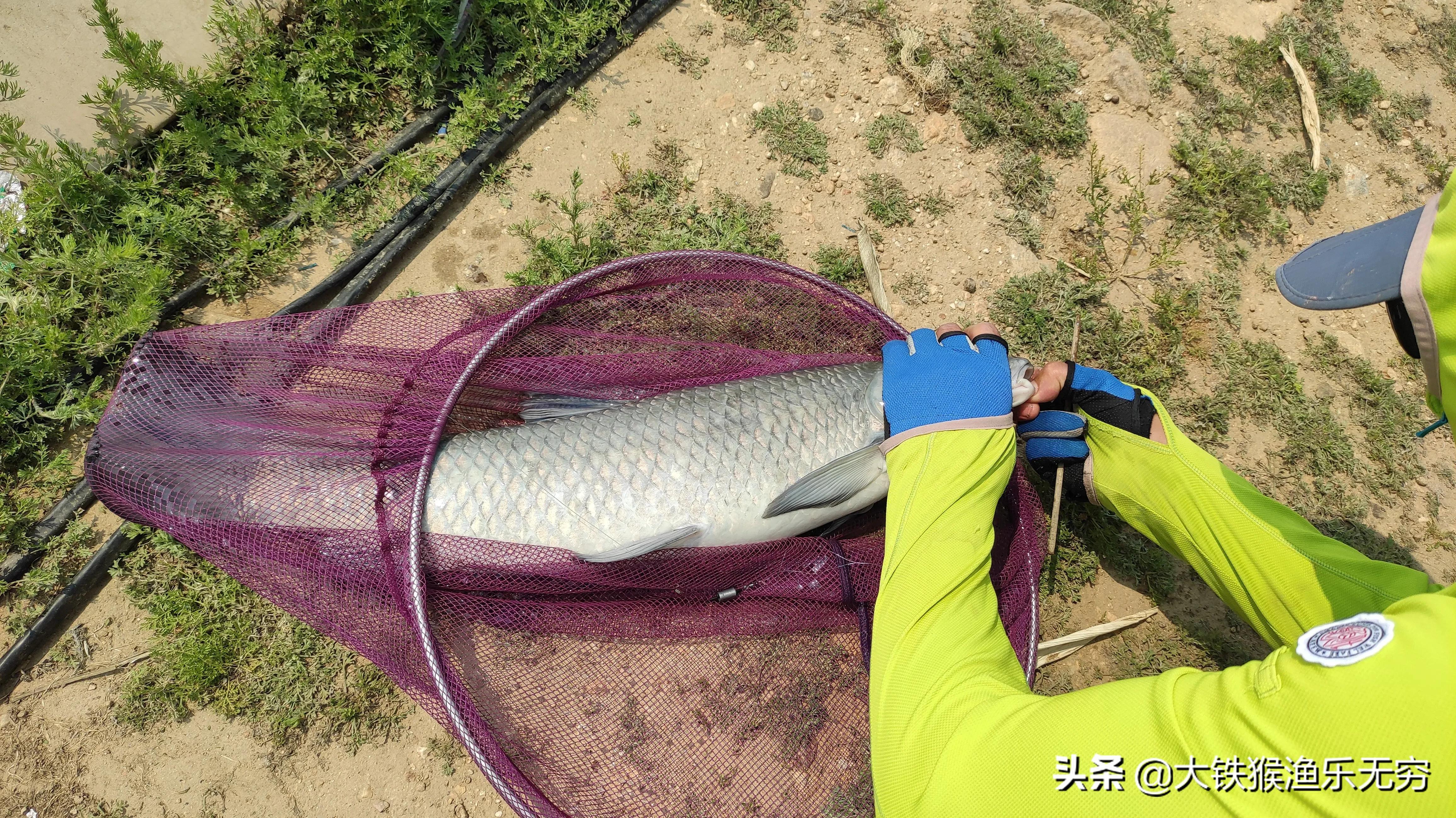 不脱钩的钓鱼神器,钓鱼神钩实测