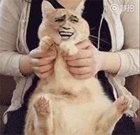 鎬ц兘澧炲己妯″紡turbo,鍏ㄦ柊鐨刾c绯荤粺