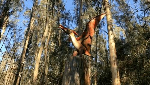 昆明亲子游户外旅行地,昆明周边户外游玩景点推荐带孩子