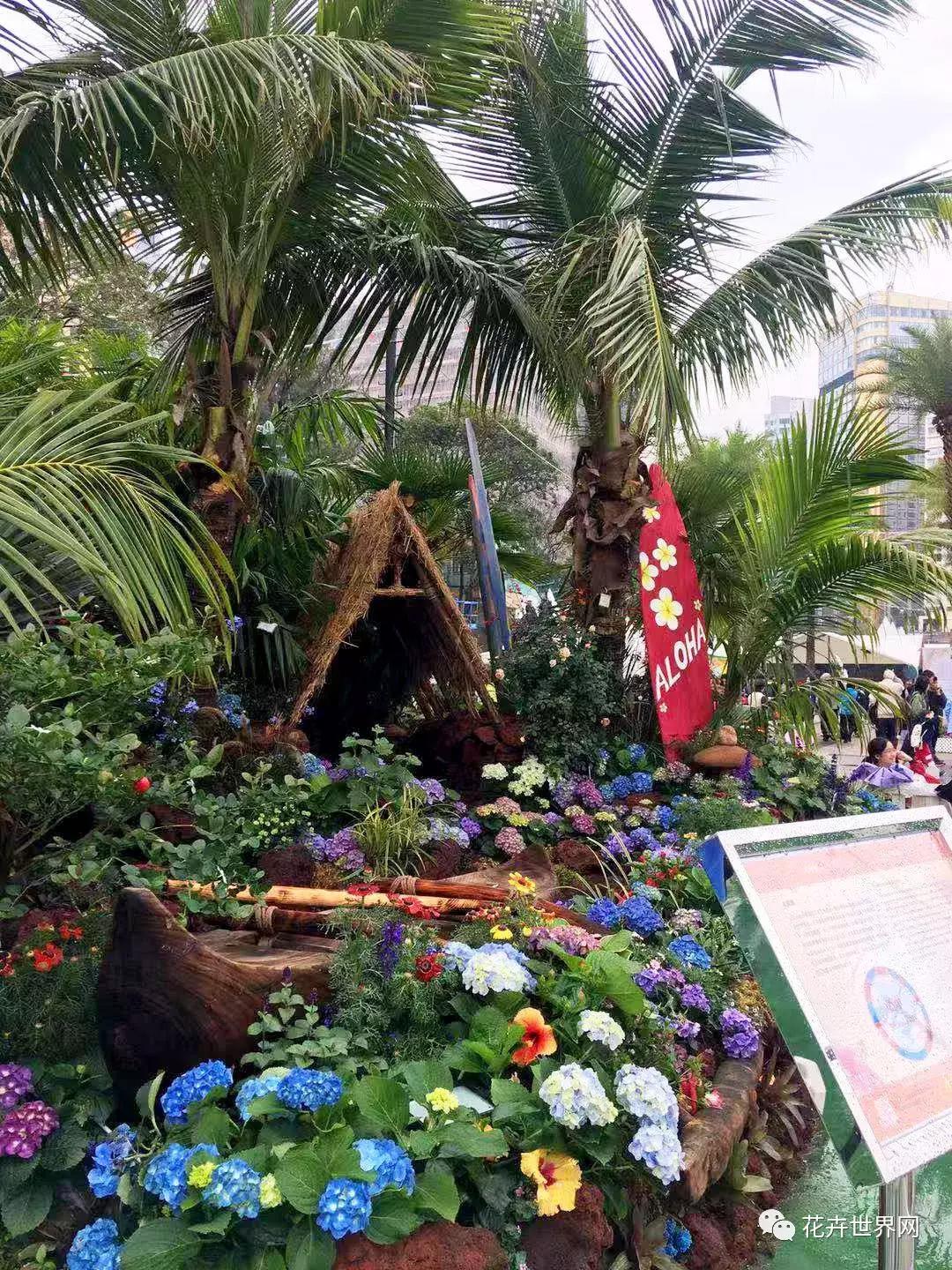 共赴盛会活动,香港国际花卉展