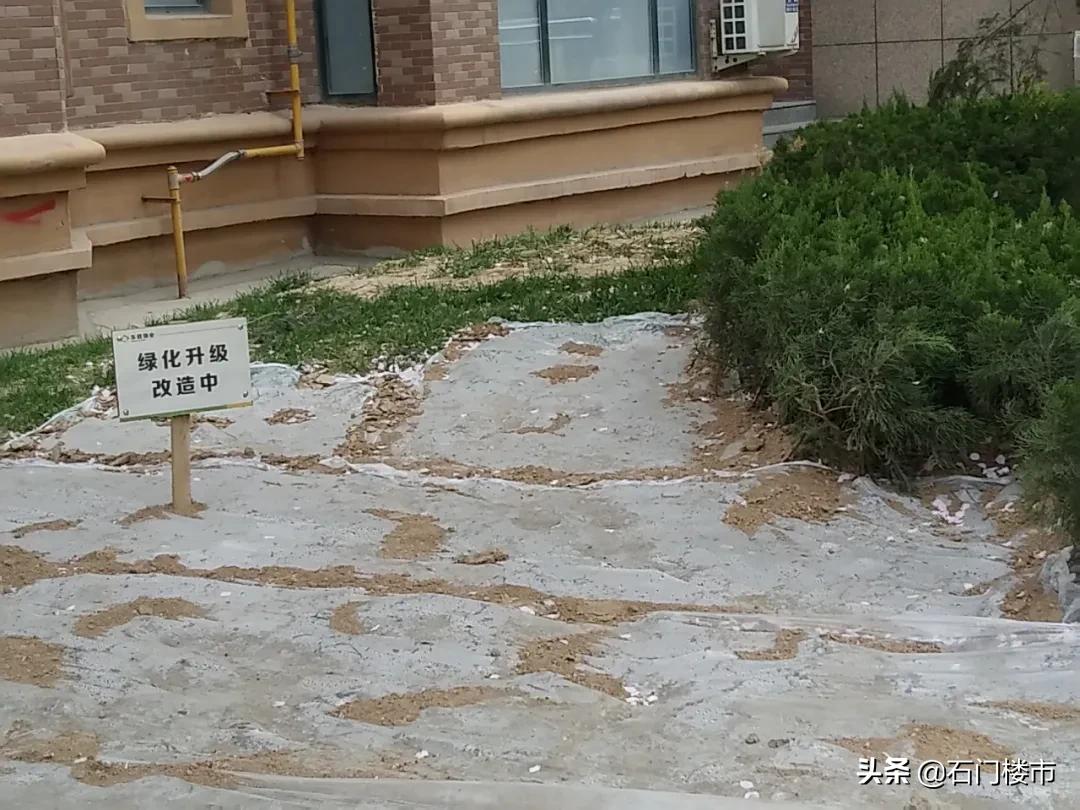 实地探访红盘交房后真实一面,解密热销红盘背后的生活理想