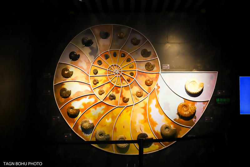 衢州飞越丛林探险乐园,浙江衢州深山