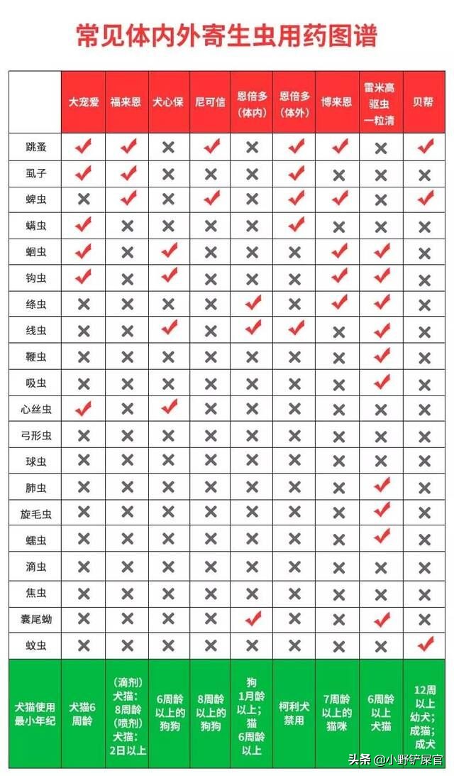 狗子麻麻,狗狗禁食24小时后还是拉稀怎么办