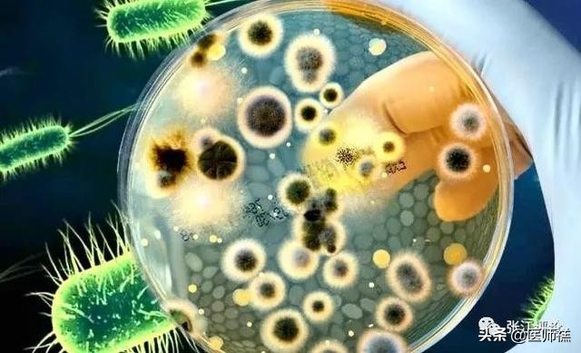 延时*剂喷**到底靠不靠谱，意外怀孕是否对胎儿发育不利？