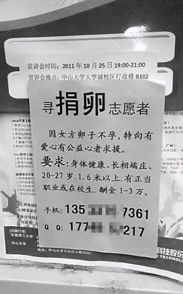 那些卖卵子的女大学生后来怎么样了