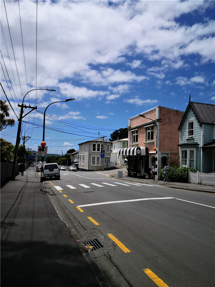 新西兰总理府前吃素食