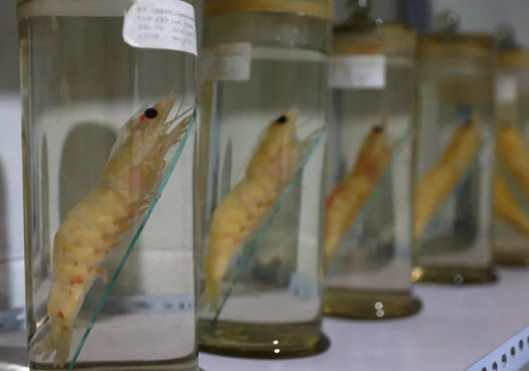 创一流业绩当好排头兵,创一流企业进展