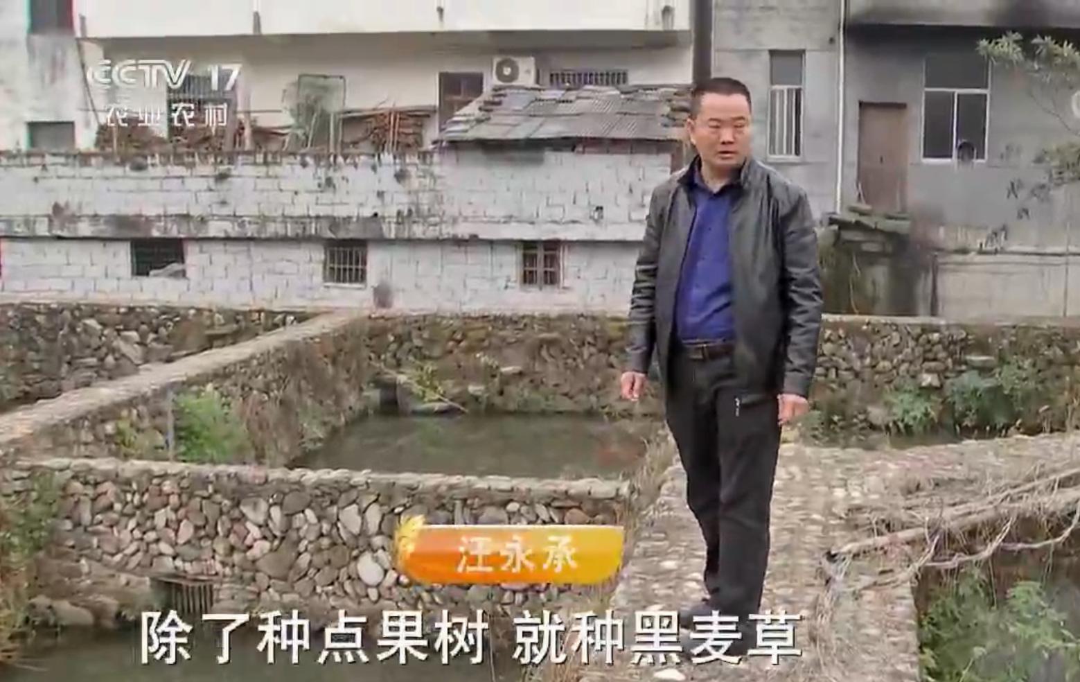 小伙返乡养鱼一亩地赚4份钱,大叔养鱼年赚60万