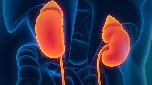 糖尿病肾衰弱最佳治疗方法,糖尿病病人肾脏有些问题要不要治
