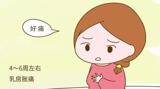 怀孕8天有哪些症状,初怀孕有哪些症状