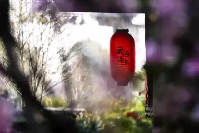 泰州溱湖来自1800米湿地深处云海温泉人文湖景别墅，独享惬意时光