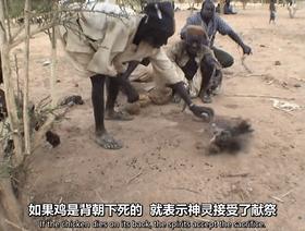 黑人跨入铁器时代的关键！揭秘两千年前的黑人冶铁术，包教不包会