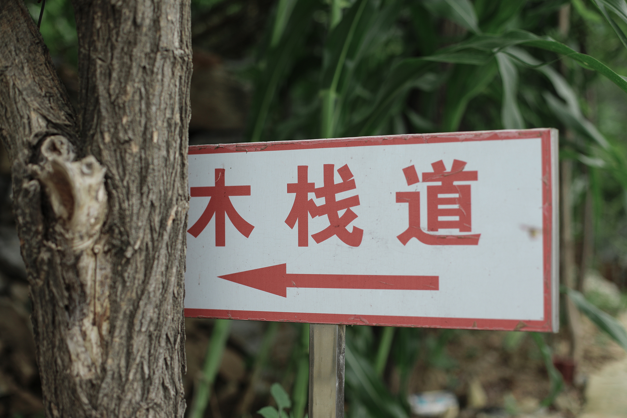 京郊房山登山路线,房山东港登山步道