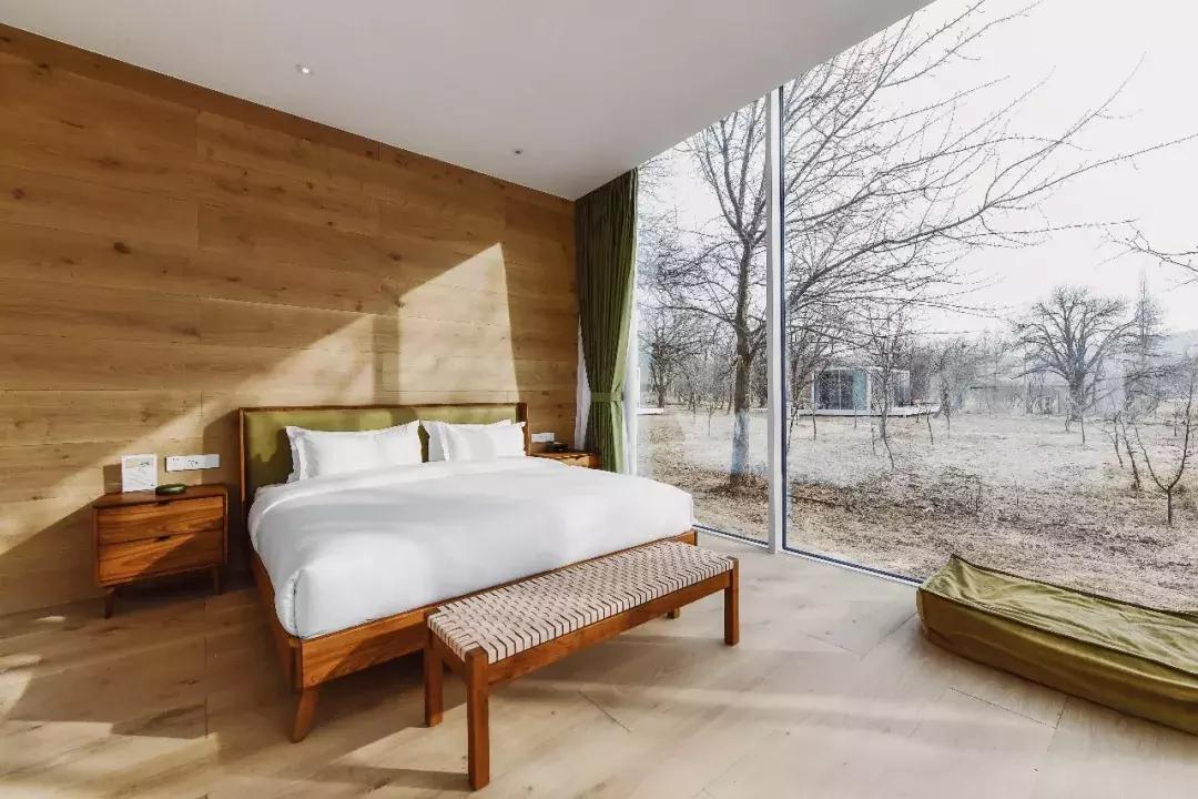 机票490飞往黄河过大年，主人请吃年夜饭，9项新年活动免费送