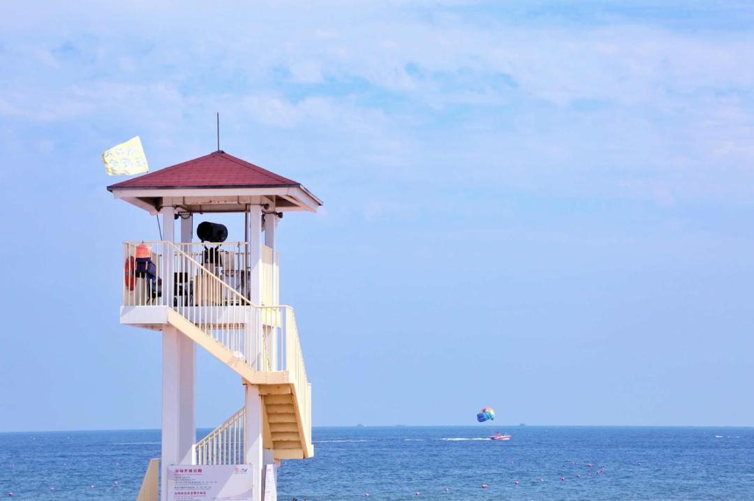 均温20℃的海滨老城，紫色泡桐花美得像国外，现在去性价比超高