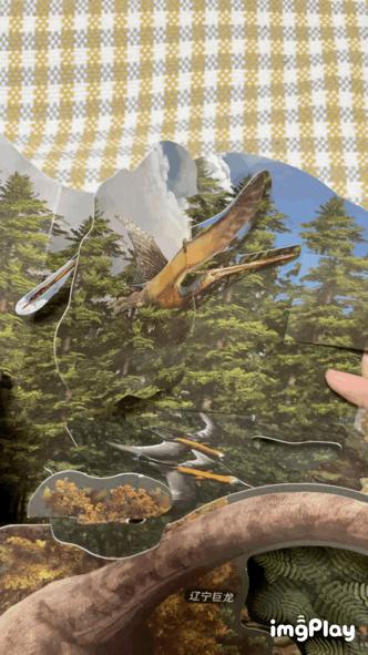 恐龙大百科恐龙探秘,恐龙探秘恐龙化石