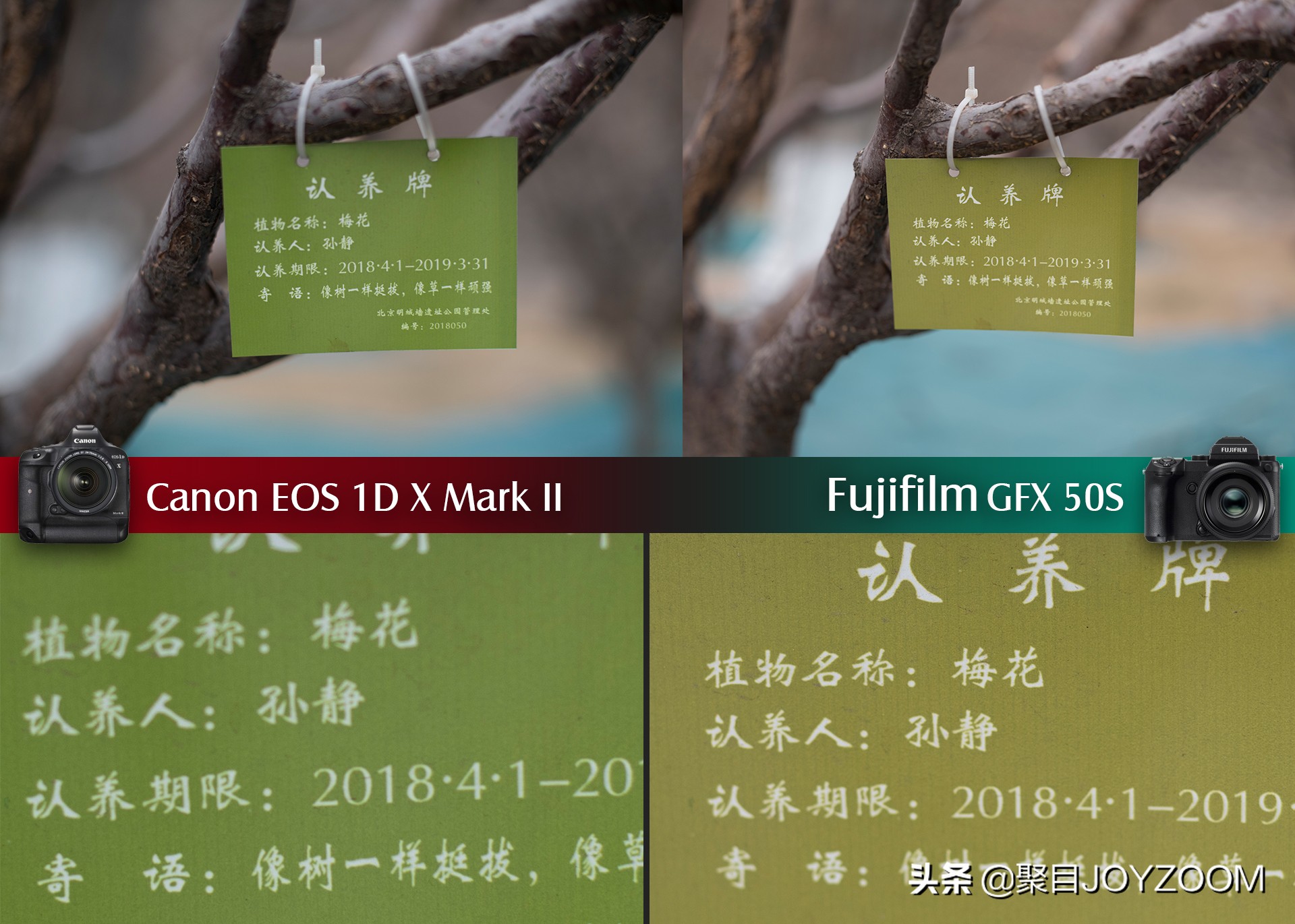 聚目体验丨底大一级真能压“死”人？佳能1DX2VS富士GFX50S