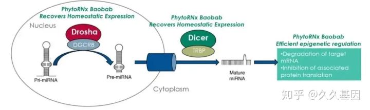 雅诗兰黛是智商税吗,雅诗兰黛小棕瓶眼霜是智商税吗