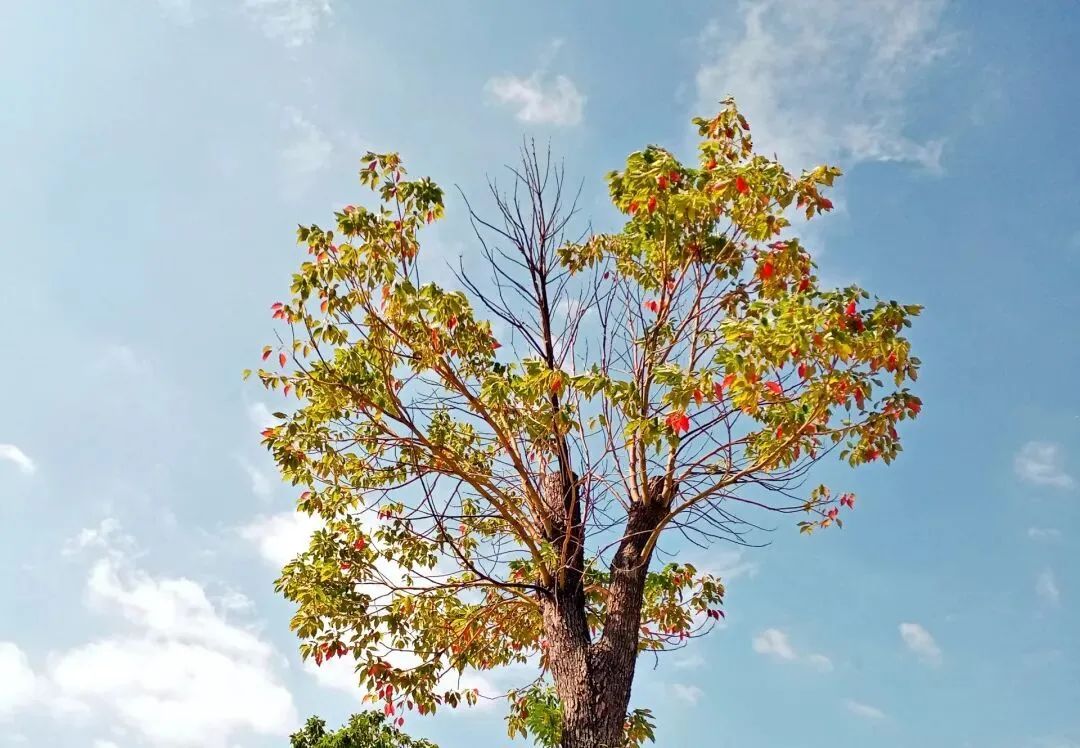 看,这是属于泉信的秋韵