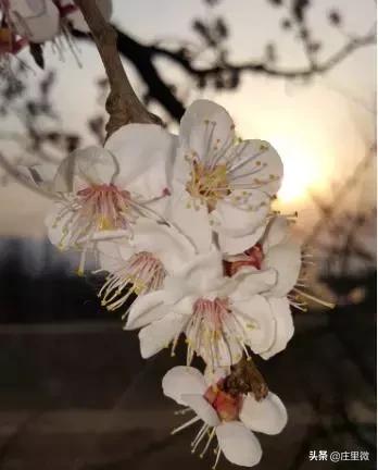 石家庄藁城旅游团,藁城周边免费一日游的绝佳去处