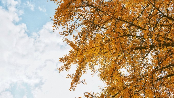 杭州西湖乌镇苏州南京上海攻略,天青色等烟雨乌镇旅游