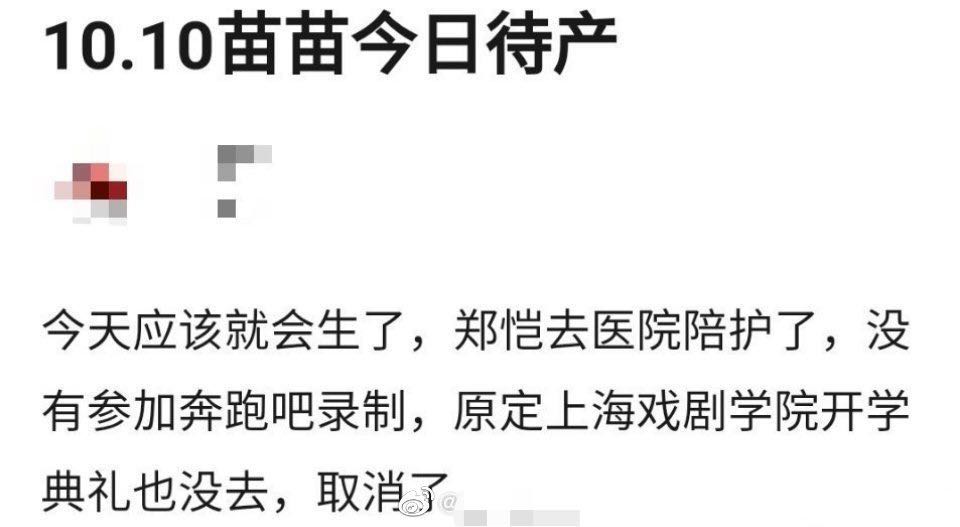 苗苗和郑恺拍跑男哪集,苗苗和郑恺录跑男