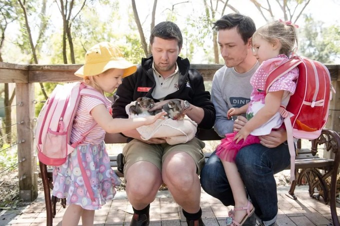 让黄晓明上瘾的南澳大利亚，到底有什么魔力？