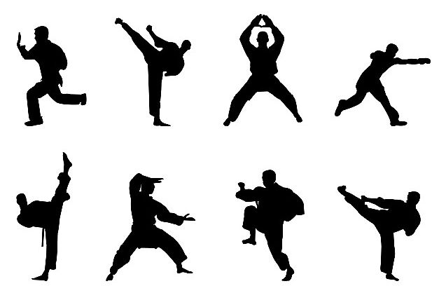 中华武林百杰张鸿谋,中华武林百杰人物