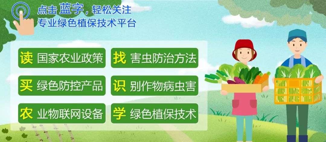 诱粘瓜实蝇,实蝇诱粘剂