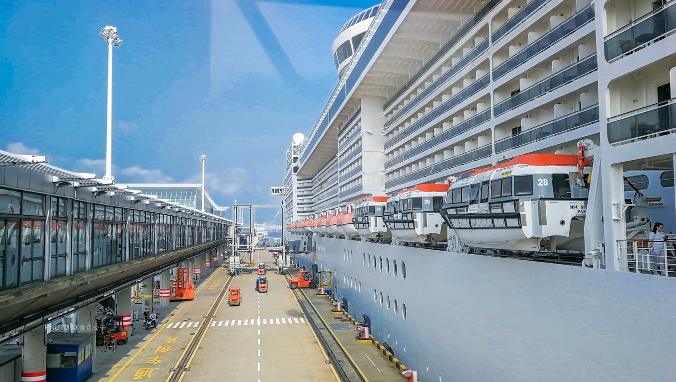 邮轮像海上养猪场,海上养猪场不负盛名