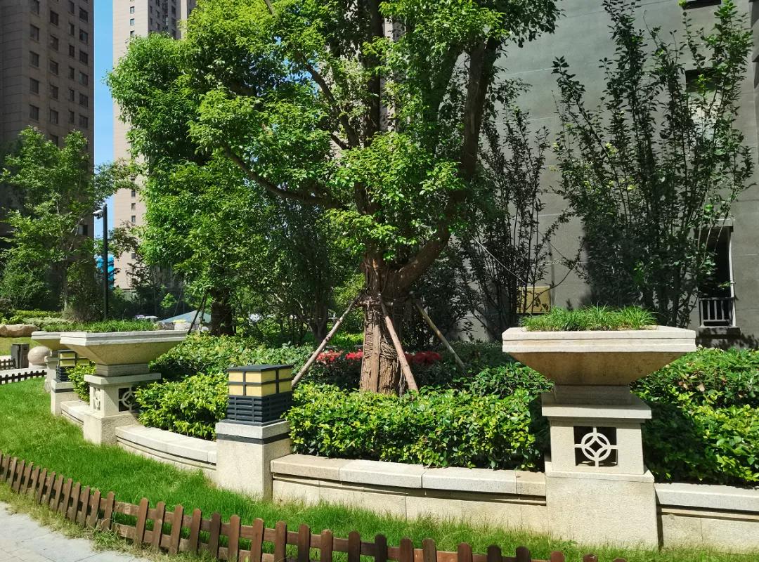 实探阜阳高速“宝藏小区”！细节走心，物业一致好评