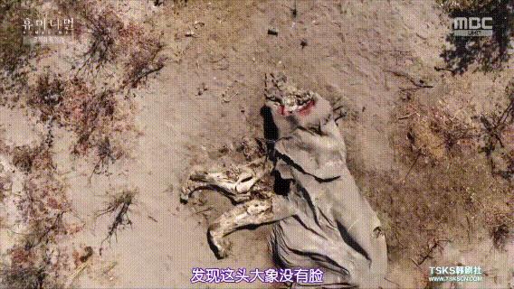 富二代人骨皮包的真实图片,人骨皮包真相曝光