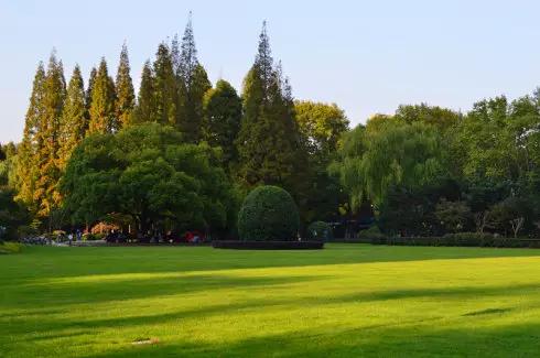 上海的魅力在什么地方,上海十六个区哪个区最好