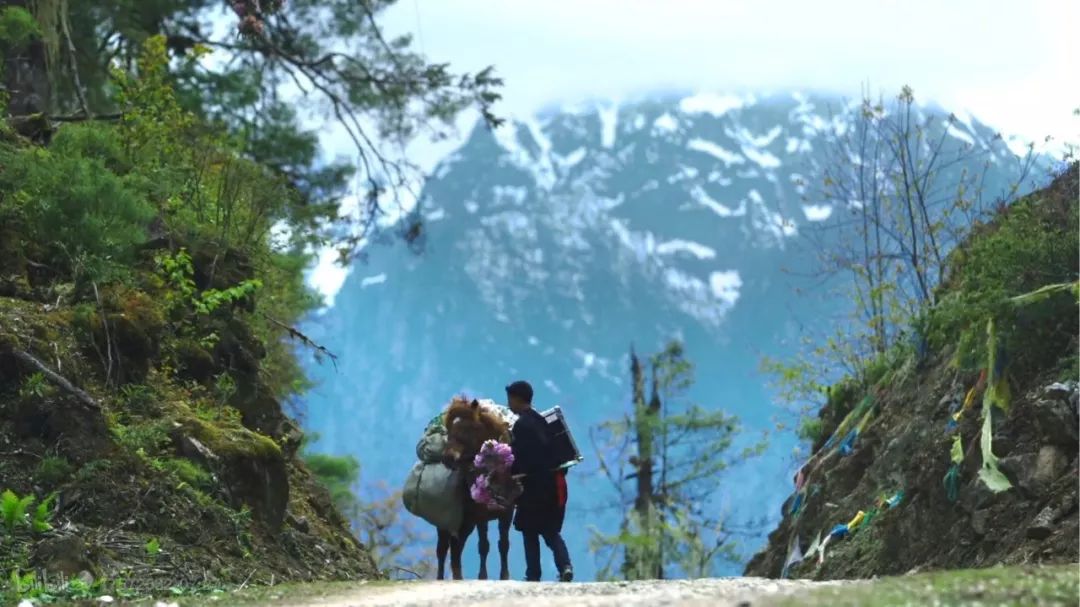 有一种风情叫江南烟雨,波密塞外江南