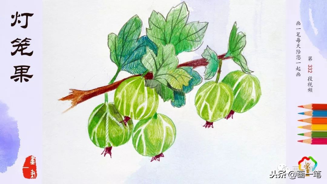 用彩铅简单画法画榴莲,彩铅画画昆虫