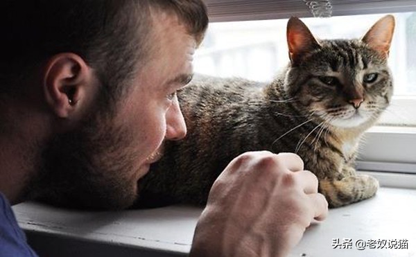 男朋友打猫是什么心理,男朋友经常打女友该怎么办