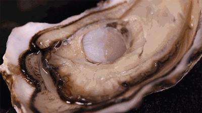 一入蚝门深似海生蚝,一入蚝门深似海从此虾蟹是路人