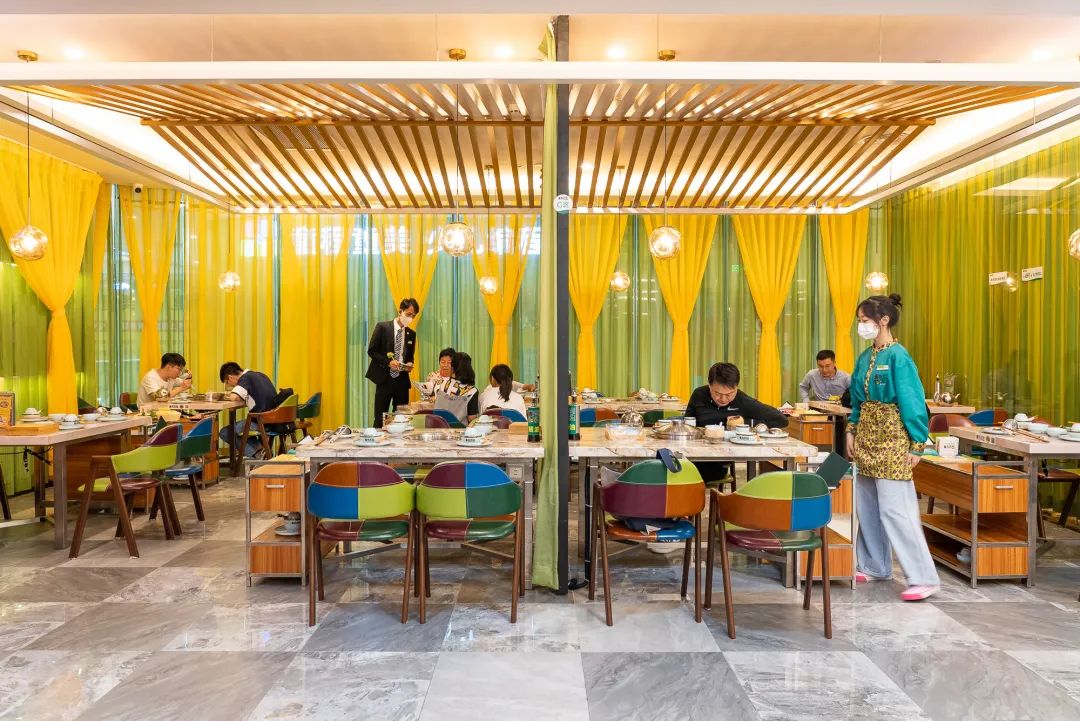 泰国鸡和缅鸡杂交后代,中泰越混血椰子鸡