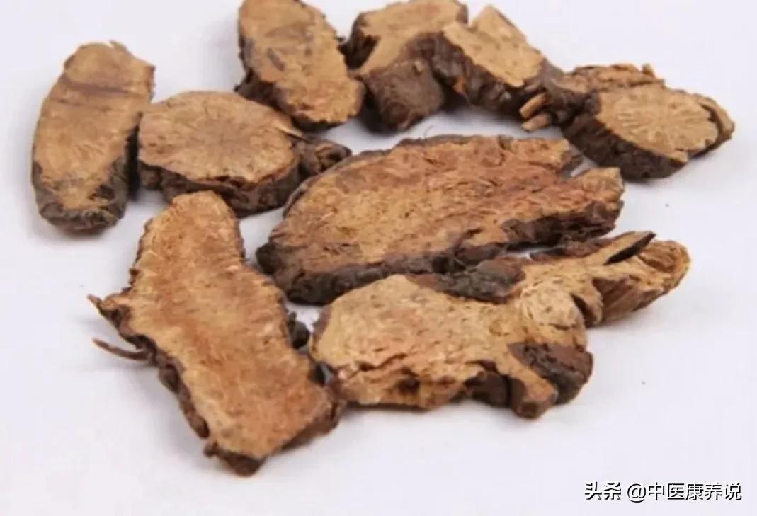 #药食同源篇#第七十七课“止血灵”地榆