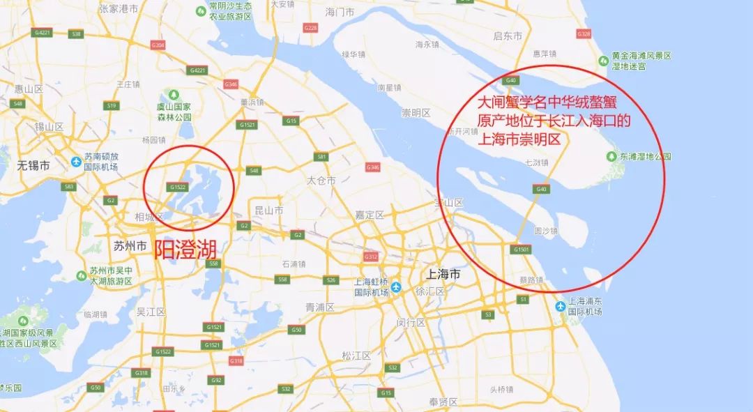 丰收蟹庄醉蟹汁红烧肉,丰收蟹庄食品有限公司