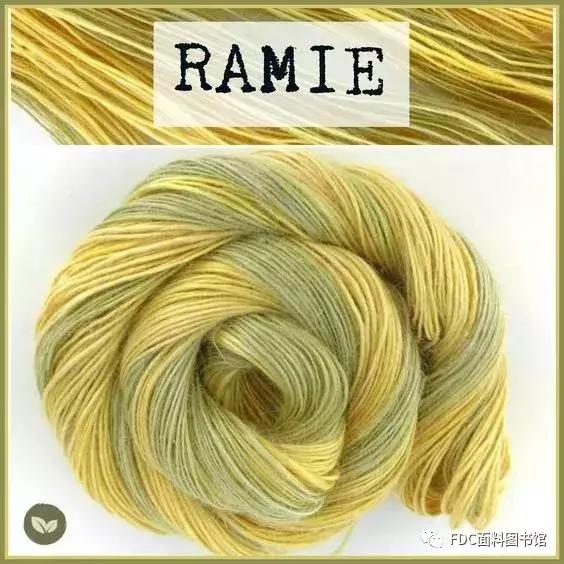 能用来制作面料的植物知多少？（下）