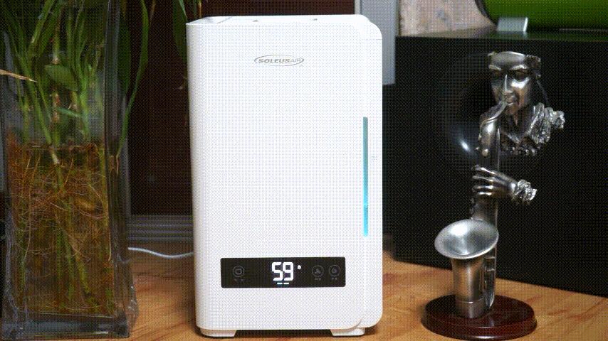 无雾加湿器和有雾加湿器哪个好用,除菌加湿器和普通加湿器有区别吗