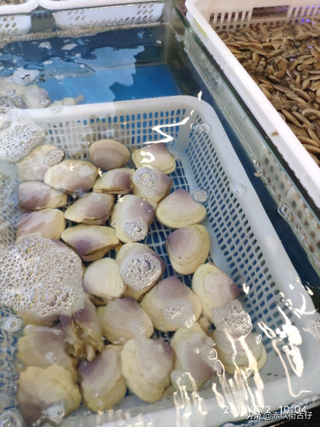 中国海鲜美食之都湛江虾类,中国海鲜美食之都湛江解说