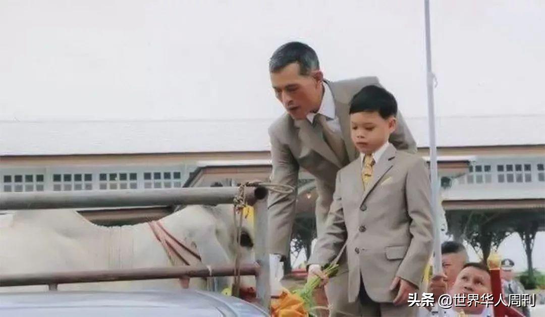泰国四个王子和老泰王,泰国的四个王子为什么被赶走