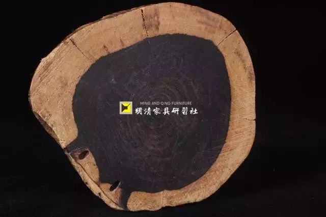 紫檀的真实身份,紫檀最后的样子