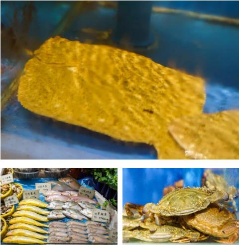 天津蒸汽海鲜,蒸汽海鲜吃到爽