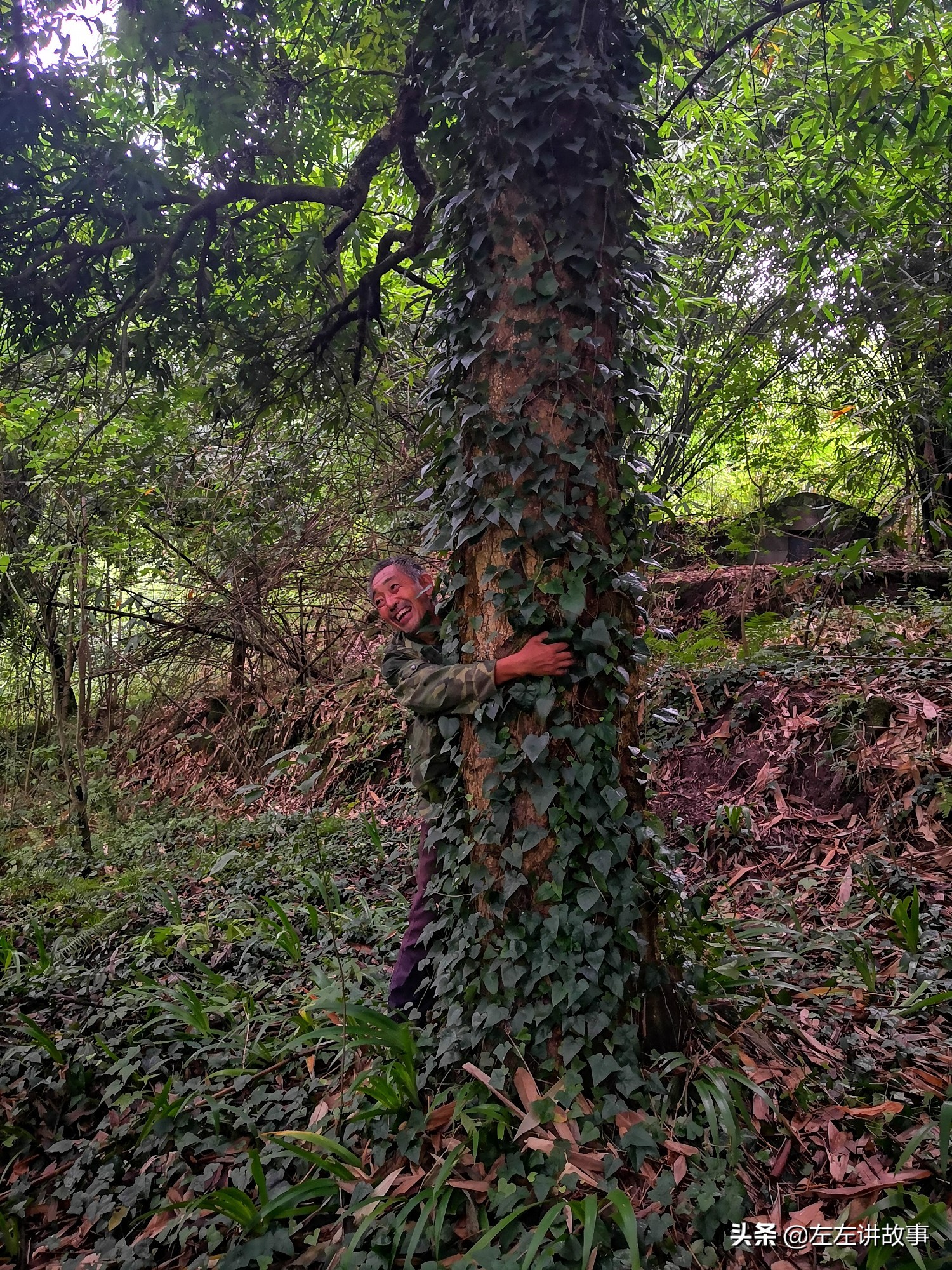 华蓥山：唐代全国四座仙山之一