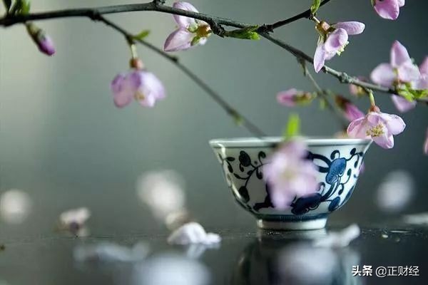 代购到底是一种什么行业,代购和普通生意有什么不一样