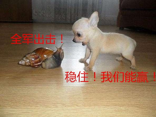 大波非洲大蜗牛袭击水电站，我方高地正被入侵！它们竟然吃水泥？